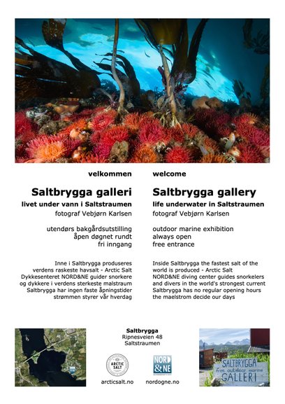Innbydelse utstilling Livet under vann i Saltstraumen 22 juni 2023