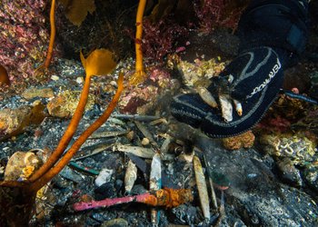 Dykker graver i lag på lag med gamle blysluker, foto Vebjørn Karlsen
